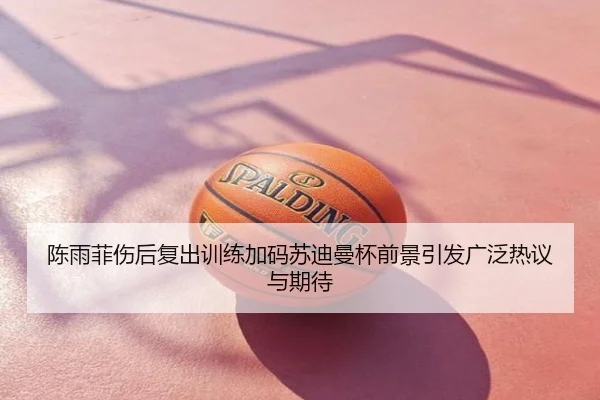陈雨菲伤后复出训练加码苏迪曼杯前景引发广泛热议与期待